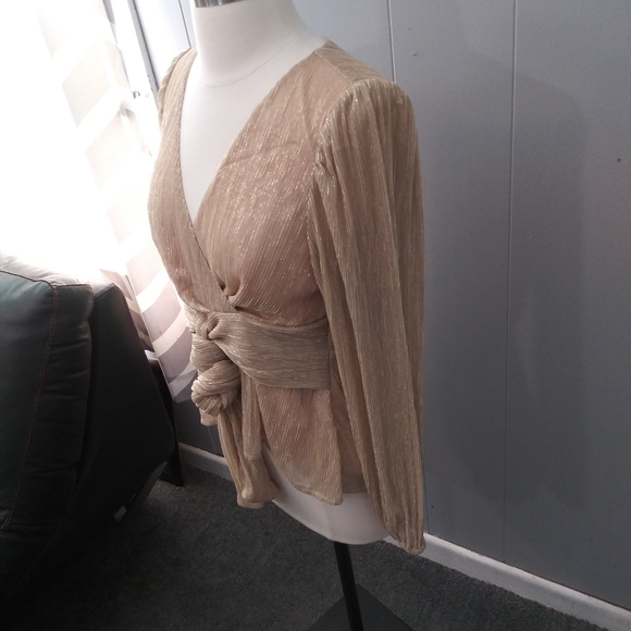 Foxiedox Juno Metallic Tie Front Pleated Blouse S - Picture 2 of 9